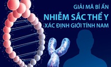 [Infographics] Giải mã bí ẩn nhiễm sắc thể Y xác định giới tính nam