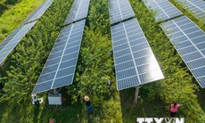 Khảo sát: Gần 70% người dân thế giới ủng hộ năng lượng mặt trời