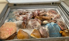 Một tiểu thương tích trữ gần 3 tấn thịt lợn đông lạnh nhiều ngày, có dấu hiệu ôi thiu