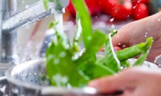 Dấu hiệu nào giúp nhân viên bếp ăn nghi ngờ có thuốc sâu trong cơm tập thể của học sinh Sơn La?