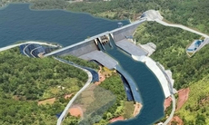 Giải pháp nào cho dự án hồ chứa nước Ka Pét ở Bình Thuận để không phải "khai thác" 600 ha rừng?