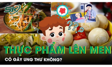 Thực phẩm lên men liệu có gây ung thư?