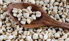 Cách dùng ý dĩ chữa mụn và viêm nhiễm ngoài da