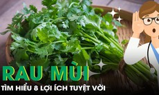 8 lợi ích sức khỏe tuyệt vời từ rau mùi