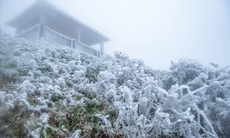 Miền Bắc đón đợt không khí lạnh mạnh nhất của mùa đông năm nay