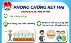 [Infographic] Kỹ năng phòng chống rét đậm, rét hại