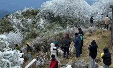 Dự báo thời tiết đêm nay và ngày mai 26/1: Du khách leo đỉnh Mẫu Sơn bất chấp trời lạnh thấu xương