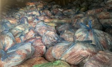 40 tấn thịt lợn nhiễm dịch bệnh nguy hiểm, có khả năng lây lan cao