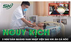 3 ngư dân Quảng Nam nguy kịch sau khi ăn cá nóc