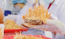 Đông trùng hạ thảo – những lưu ý khi lựa chọn