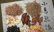 Bài thuốc cổ phương Tiểu thanh long thang
