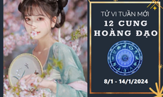 Tử vi tuần mới 12 cung hoàng đạo từ 8/1 - 14/1/2024: 
Bọ Cạp tỉ mỉ, Bảo Bình rủng rỉnh