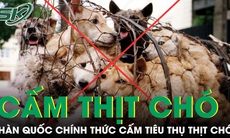 Hàn Quốc chính thức cấm tiêu thụ thịt chó, người vi phạm có thể ngồi tù đến 3 năm