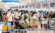 Giá vé máy bay và vé tàu Tết khó giảm