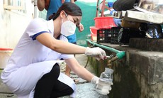 Bộ Y tế yêu cầu truy xuất nguồn gốc thực phẩm vụ nghi ngộ độc tại Trường Cao đẳng Lào Cai