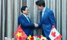 Thủ tướng Phạm Minh Chính gặp Thủ tướng Canada Justin Trudeau