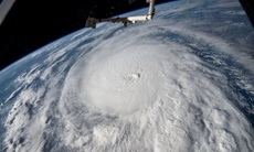 Mỹ: Bão Milton giảm xuống cấp 3, chuẩn bị đổ bộ Florida