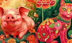 Tử vi 12 con giáp hôm nay 14/10: Ngọ gặp thách thức, Dậu may mắn