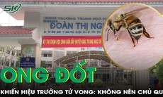 Hiệu trưởng trường cấp 2 tử vong do ong đốt: Tuyệt đối không chủ quan!