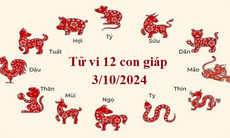 Tử vi 12 con giáp hôm nay 3/10: Dần vận trình tươi sáng, Tỵ thu nhập tăng tiến
