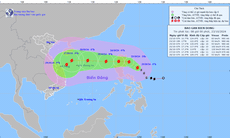 Bão Trà Mi có thể tiến thẳng vào khu vực biển miền Trung