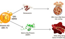 Vitamin K2 - Sự thật có thể bạn chưa biết