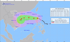 Chuyên gia nói về sự dị thường của bão Trà Mi khi vào Biển Đông