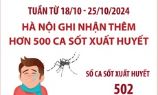 Tuần từ 18/10 - 25/10/2024: Hà Nội ghi nhận thêm hơn 500 ca sốt xuất huyết