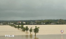 Quảng Trị: Nguy cơ lũ lên trở lại, huyện Vĩnh Linh bị thiệt hại nặng nhất