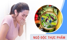 Bộ Y tế: Người dân vùng ảnh hưởng bão Trà Mi tuyệt đối không sử dụng gia súc, gia cầm chết chế biến thực phẩm