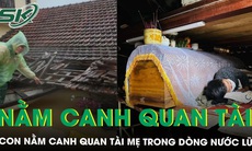 Ứa nước mắt cảnh mẹ mất, con nằm canh quan tài trong dòng lũ chờ đưa tang ở Quảng Bình