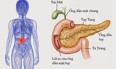 Viêm tụy cấp ở trẻ em: Nguyên nhân, triệu chứng, phòng bệnh và cách điều trị