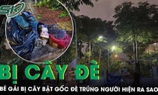 Sức khoẻ bé gái bị cây xanh bật gốc đè trúng ở TPHCM hiện ra sao?