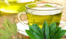 Uống nước vối mỗi ngày có tốt không?