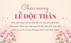 Những lời chúc ngày lễ độc thân 11/11 hay và ý nghĩa nhất 2024
