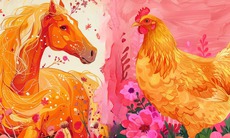 Tử vi 12 con giáp ngày 12/11: Dậu cải thiện tài chính, Tuất làm ăn thuận lợi