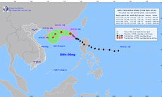 Bão số 8 sẽ suy yếu ngay trên Biển Đông