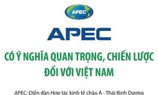 APEC có ý nghĩa quan trọng, chiến lược đối với Việt Nam