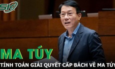 Bộ trưởng Lương Tam Quang: Giải quyết cấp bách trong phòng, chống và kiểm soát ma túy