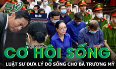 Bị Viện Kiểm sát đề nghị tử hình, luật sư đưa ra 4 lý do xin cơ hội sống cho Trương Mỹ Lan