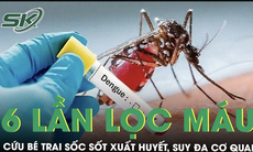 6 lần lọc máu cứu bé trai sốc sốt xuất huyết nặng, suy đa cơ quan