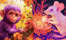 Tử vi 12 con giáp hôm nay 26/11: Ngọ khó khăn, Hợi tích cực