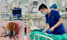 Bị mò đốt ở 'vùng kín', người phụ nữ phải nhập viện thở máy