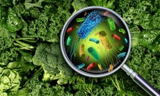 Thực phẩm nhiễm Salmonella nguy hiểm như thế nào?