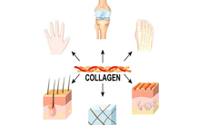 Dùng collagen có tác dụng phụ không?