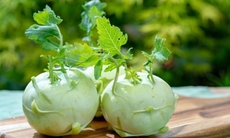 4 lý do nên ăn su hào