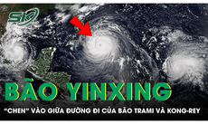 Bão Yinxing 'chen' vào giữa đường đi của bão Trami và Kong-rey, cường độ cũng ở giữa