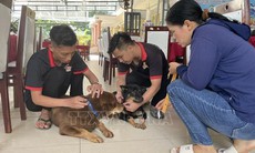 Đeo thẻ có gắn mã QR cho vật nuôi tại Côn Đảo