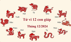 Tử vi 12 con giáp tháng 12/2024: Tý công việc trì trệ, Tỵ chuyển biến tích cực