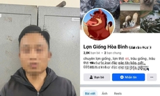 Lập Facebook 'Lợn Giống Hòa Bình' lừa tiền đặt cọc của người mua